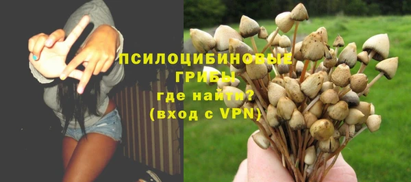шишки Протвино