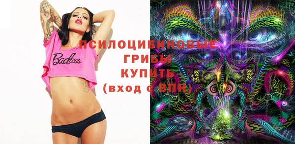 ПСИЛОЦИБИНОВЫЕ ГРИБЫ Пролетарск