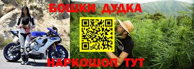 гашик Гагарин