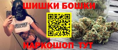 индика Можга
