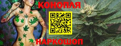 СК Волгодонск