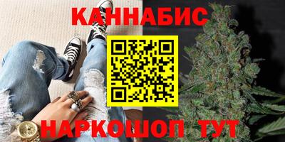 СК Волгодонск