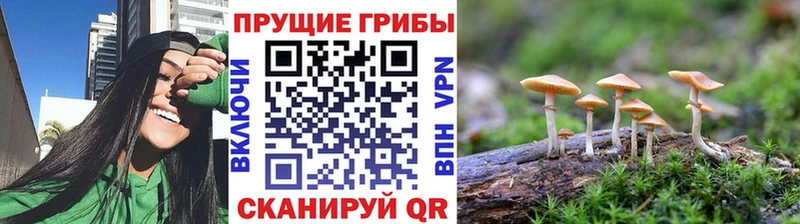Галлюциногенные грибы мухоморы Волжск