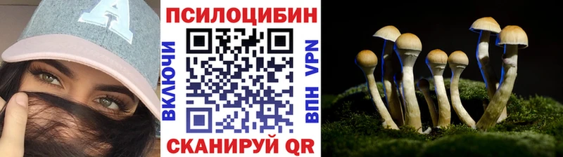 Псилоцибиновые грибы прущие грибы  Волжск 