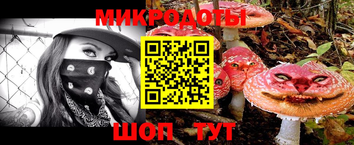 Галлюциногенные грибы Magic Shrooms Волжск