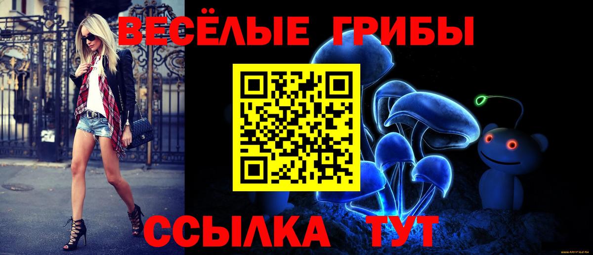 Галлюциногенные грибы Magic Shrooms  Галлюциногенные грибы GOLDEN TEACHER  Волжск 