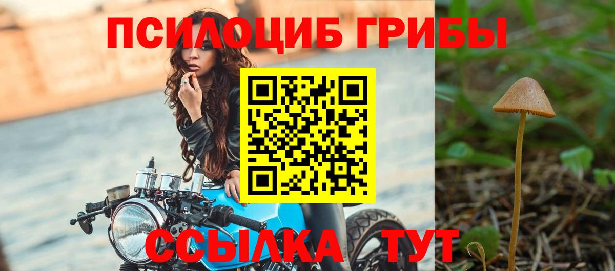 Волжск  Псилоцибиновые грибы Psilocybine cubensis  Вход с VPN  Псилоцибиновые грибы мицелий 
